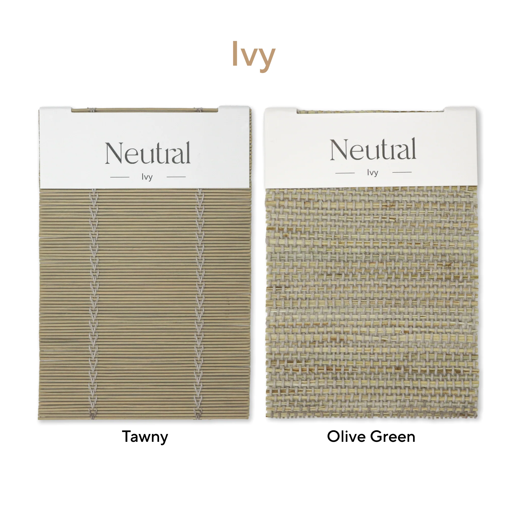 Get 5 Bamboo Books Only $8.3 - Image 15