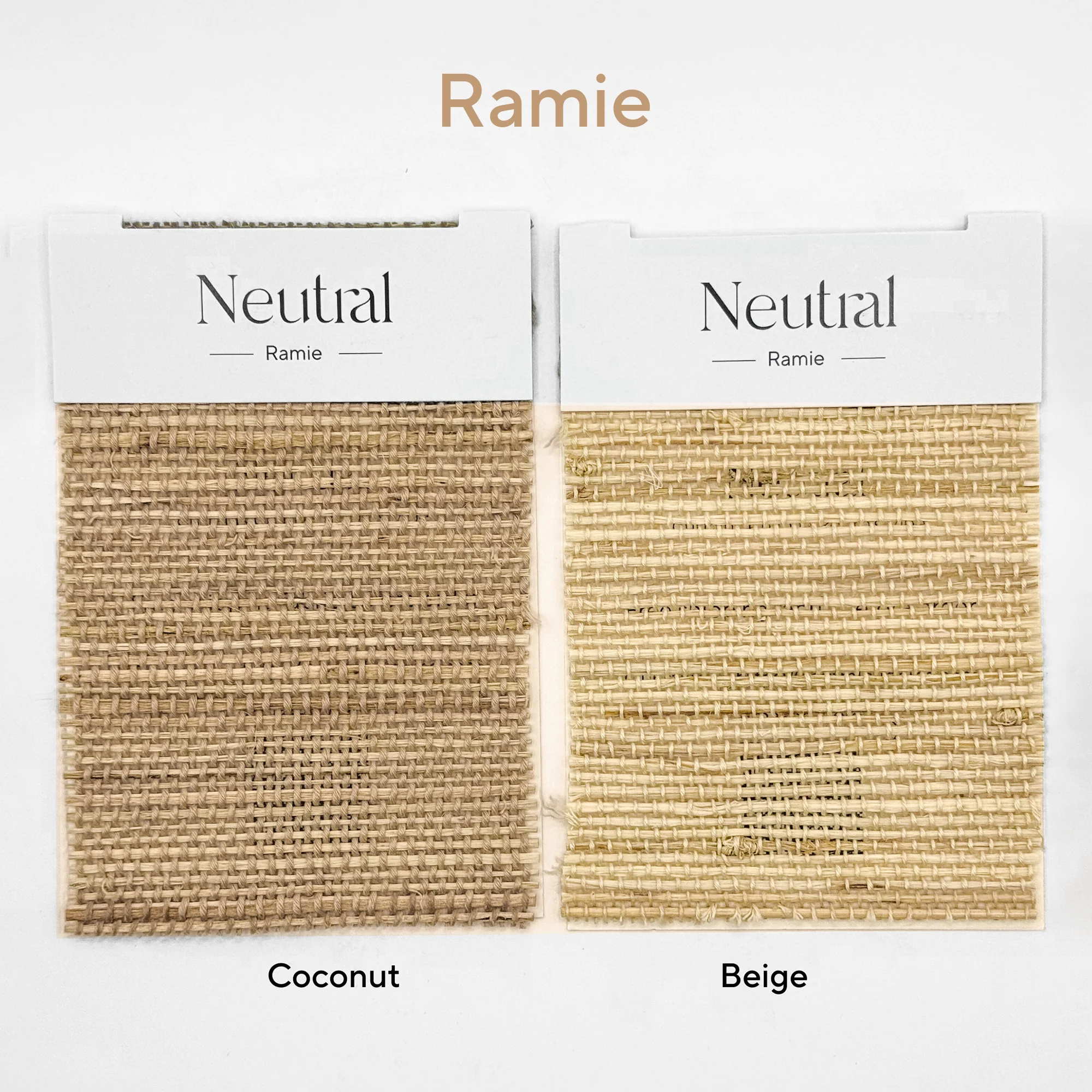 Get 5 Bamboo Books Only $8.3 - Image 3